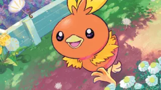 Torchic op een Pokémonkaart