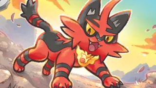 Torracat op een Pokémonkaart