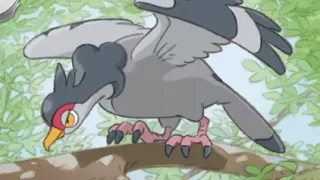 Tranquill op een Pokémonkaart