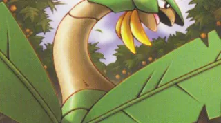 Tropius zoals afgebeeld op zijn oudste kaart