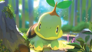Turtwig op een Pokémonkaart