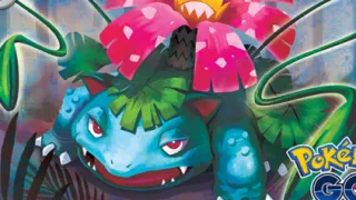 Venusaur op een Pokémonkaart