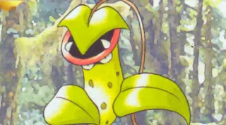 Victreebel zoals afgebeeld op zijn oudste kaart