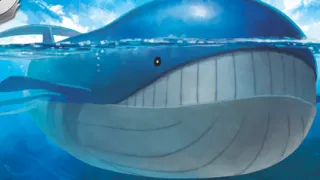 Wailord op een Pokémonkaart