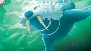 Walrein op een Pokémonkaart