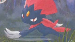 Weavile zoals afgebeeld op zijn oudste kaart