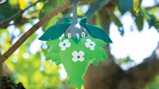 Wormadam op een Pokémonkaart